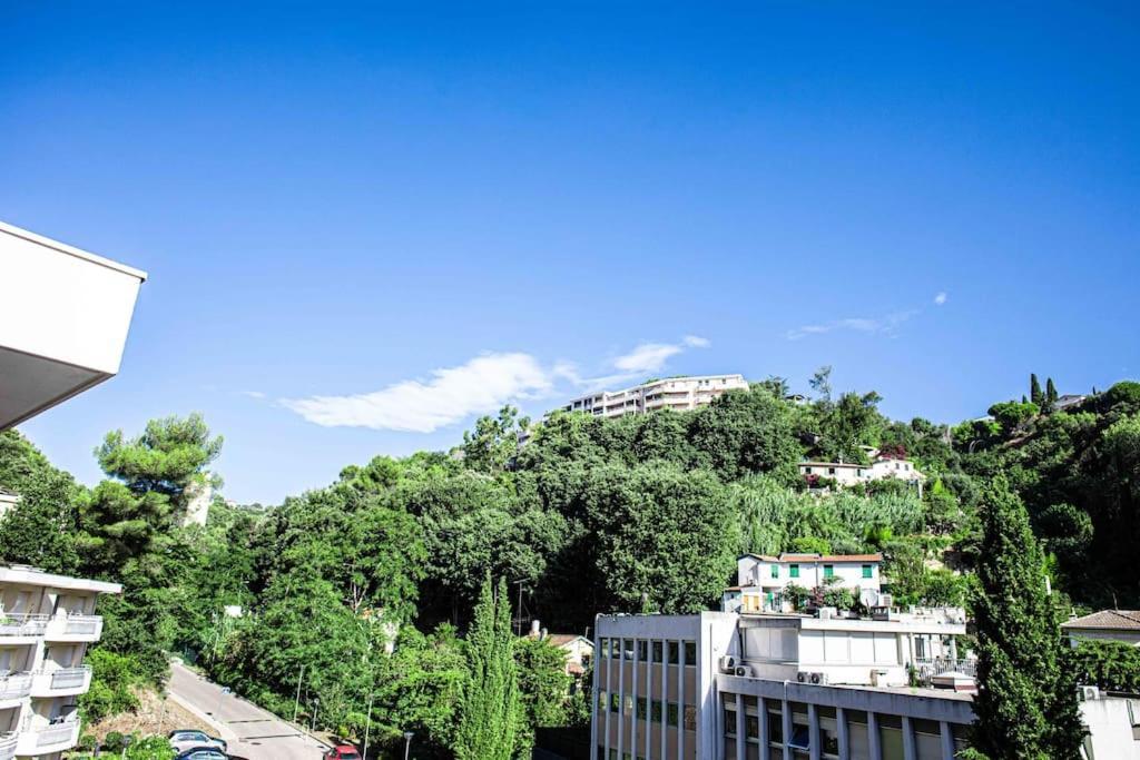 Anicesleep Superbe Appart Au Calme Et A 5 Mn De La Prom Dış mekan fotoğraf